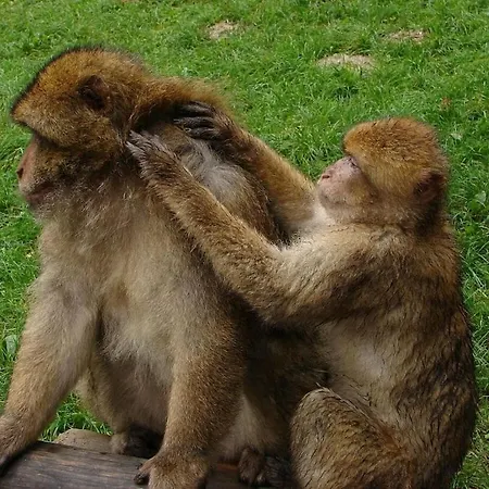 度假居 House In With 1 Bedroom 博登斯边的伊门施塔特